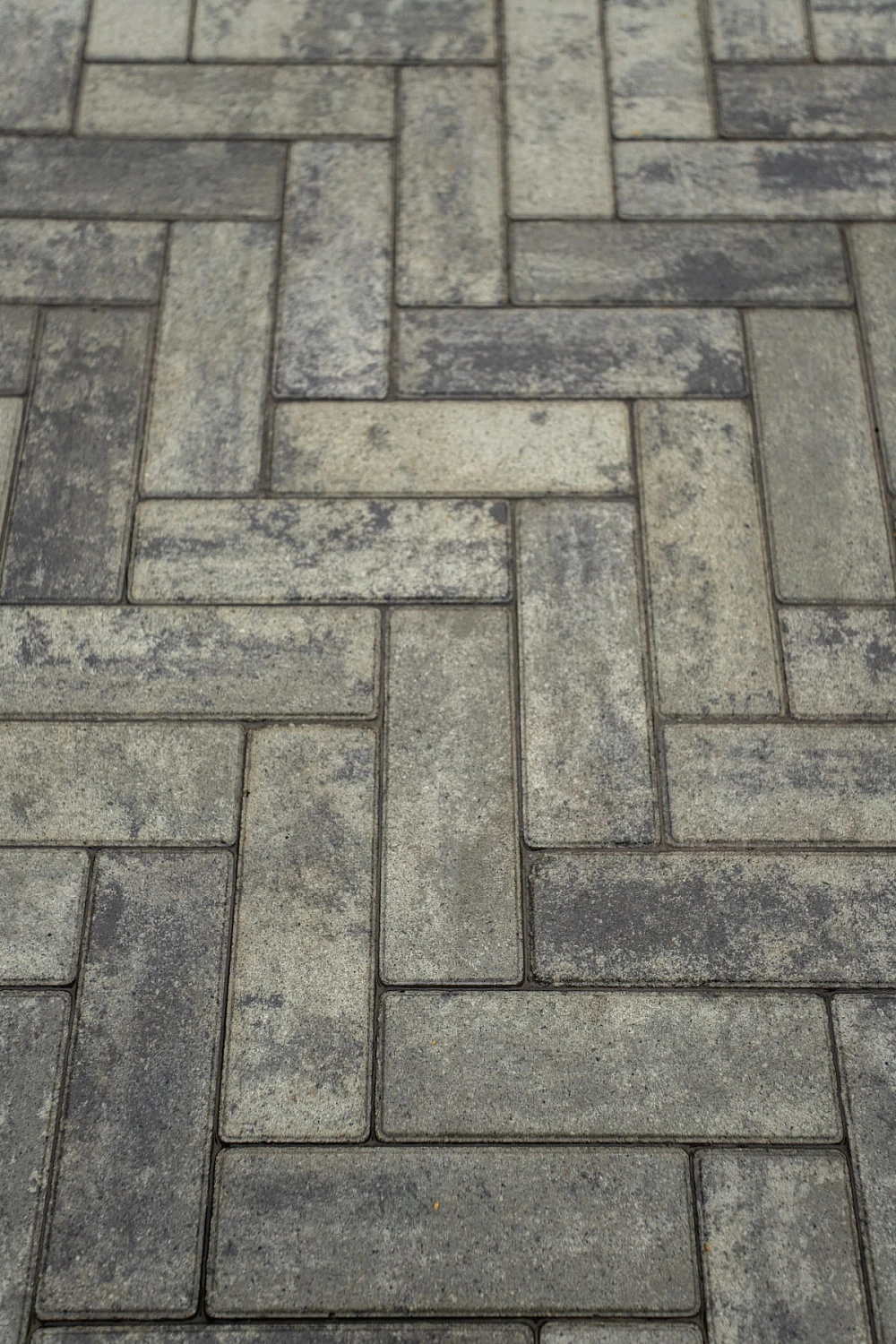 Ландшафтный дизайн участка 9 соток на Московском тракте