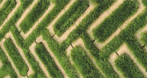 Газонная решетка, 85 мм, серый