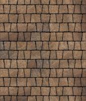 Тротуарная плитка Абрис, 60 мм, Клен