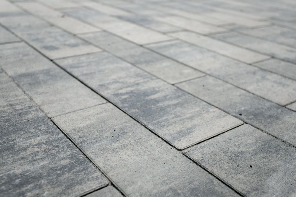 IMG_5563-min.jpg IMG_5563-min.jpg