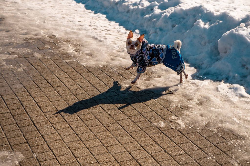 porevitplitka (5).jpg porevitplitka (5).jpg