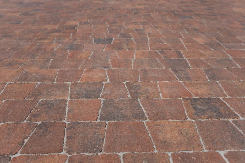 IMG_3052-min.jpg IMG_3052-min.jpg