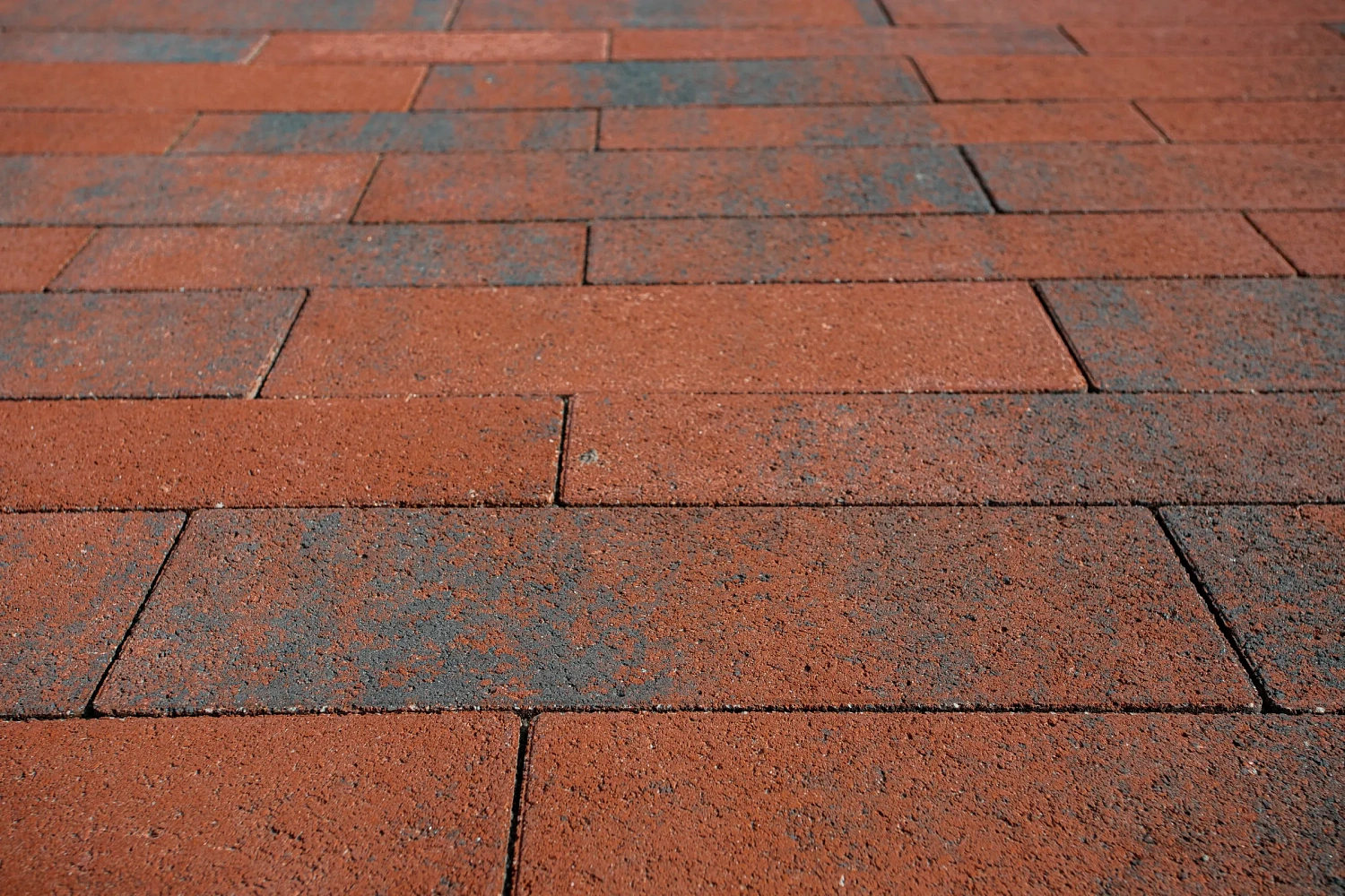 Сквер Медицинских работников в Тюмени