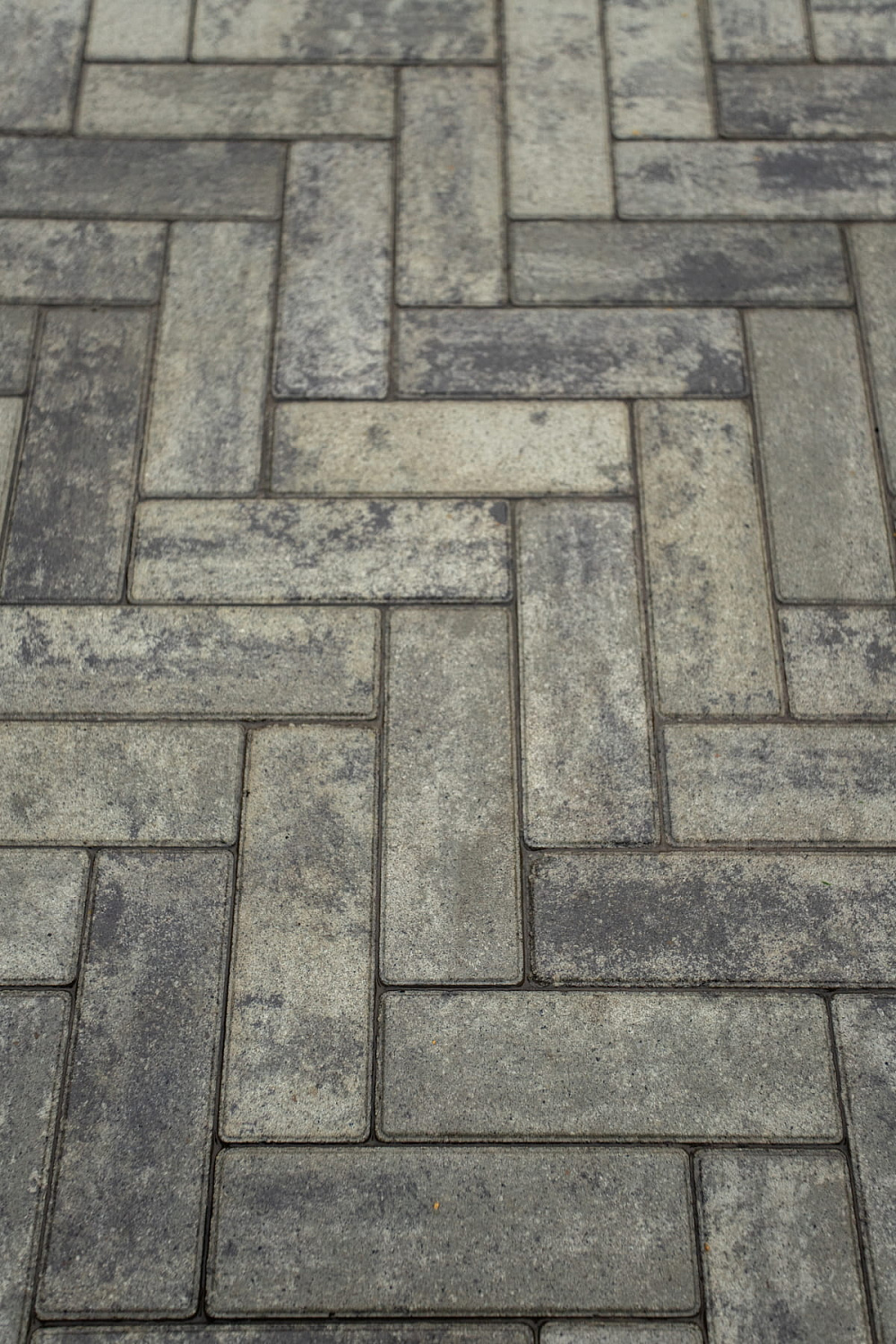 Ландшафтный дизайн участка 9 соток на Московском тракте