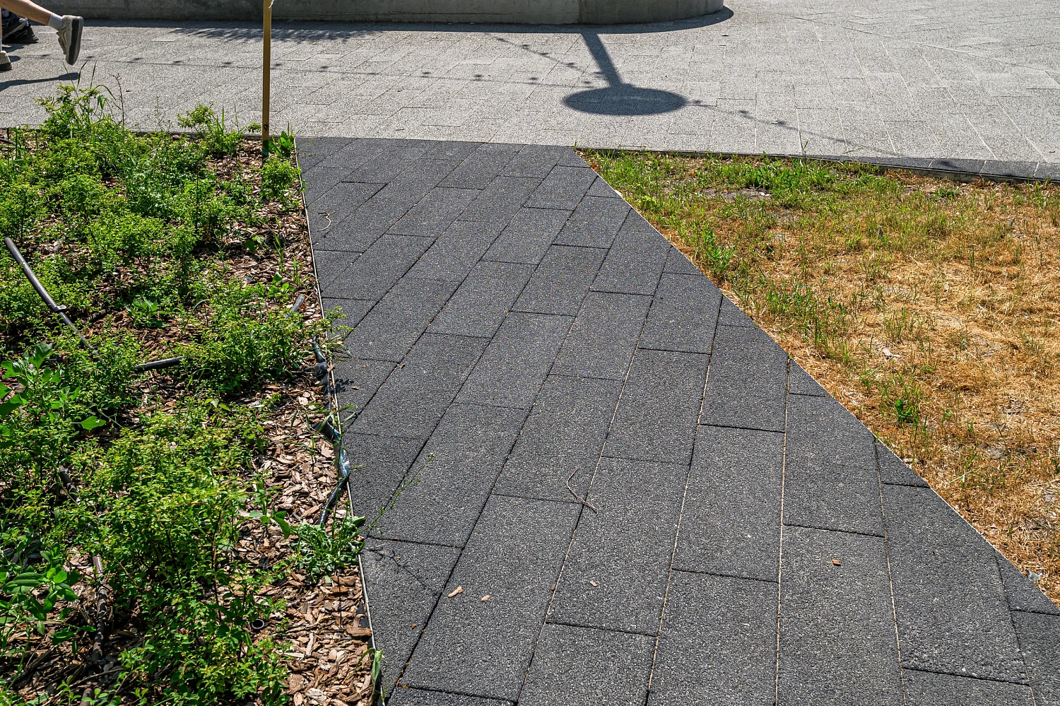 Сквер с историей географов открыли по улице Дзержинского в Тюмени